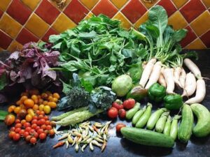 Set of 15 Vegetable Seeds Pack for Home Kitchen Gardening